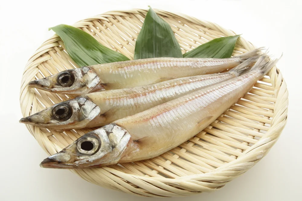 Argentinidae (Argentinidae)