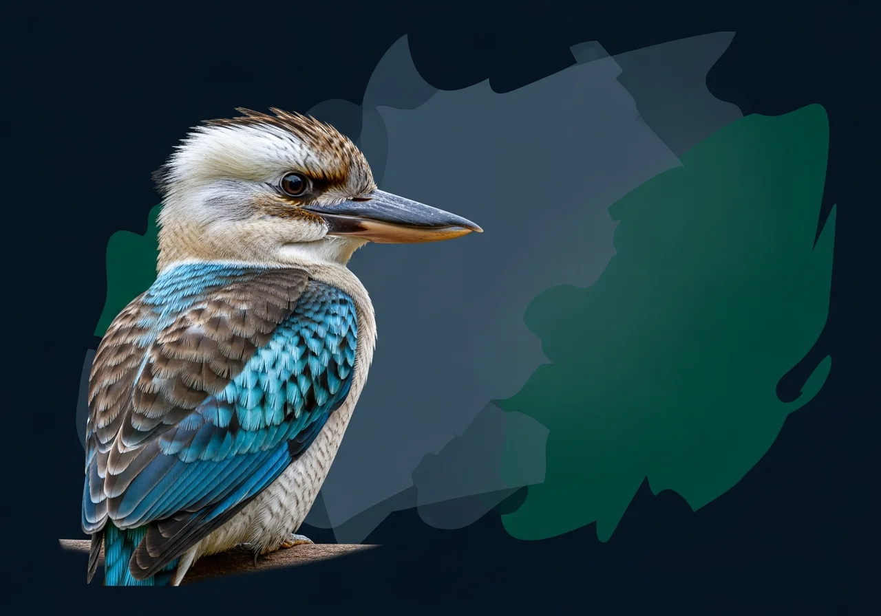 Blau-Lappenliest (Ptiloris victoriae)