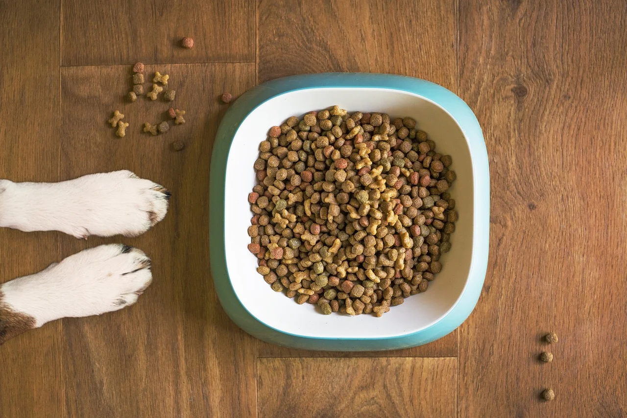 Hypoallergenes Hundefutter für Allergiker