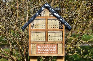 insect hotel, insect house, insect box